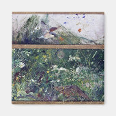 Vogelforschung, Bruno Liljefors Magnet (Vorne)