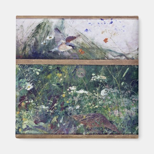 Vogelforschung, Bruno Liljefors Magnet (Vorne)