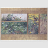 Vogelforschung, Bruno Liljefors Seidenpapier (Vorderseite)