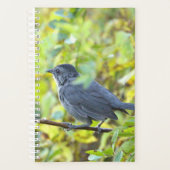 Vogelfoto-Planer Planer (Vorderseite)
