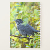 Vogelfoto-Planer Planer (Rückseite)