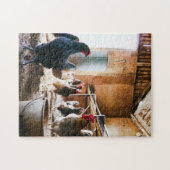 Vogelfotografie - Beste Fotos für Wildtiere Puzzle (Horizontal)