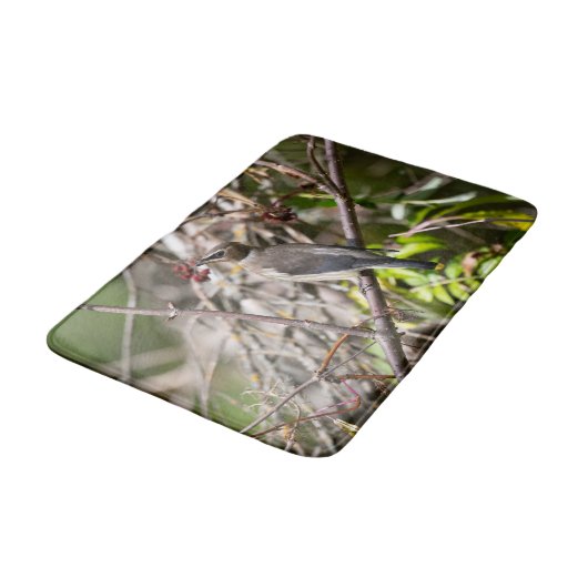 Vogelfotografie, Bohemisches Waxwing Badematte (Schrägansicht)