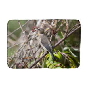 Vogelfotografie, Bohemisches Waxwing Badematte
