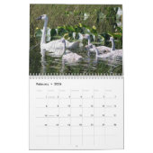 Vogelfotografie Kalender (Feb 2026)