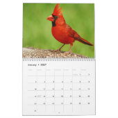 Vogelfotografie Kalender (Jan 2027)
