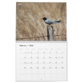 Vogelfotografie-Kalender Kalender (Feb 2026)