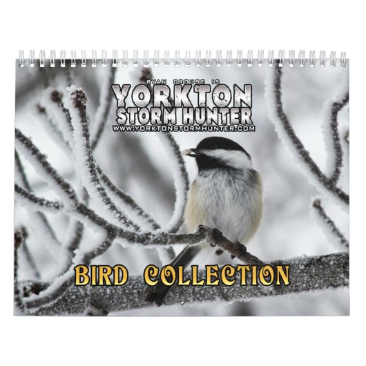 Vogelfotografie-Kalender Kalender (Titelbild)