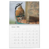 Vogelfotografie-Kalender Kalender (Jan 2026)