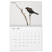 Vogelfotografie-Kalender Kalender (Mär 2027)