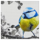 Vogelfotografie Stoff (Nahaufnahme)