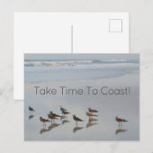 Vogelfotografie-Typografie an der Strandküste Postkarte (Vorne/Hinten)