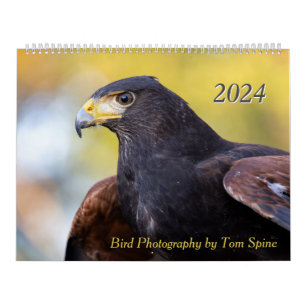 Vogelfotografie von Tom Spine - 2024 Kalender