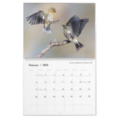 Vogelfotografie von Tom Spine - 2024 Kalender (Feb 2026)