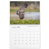 Vogelfotografie von Tom Spine, Kalender 2020 (Jan 2026)