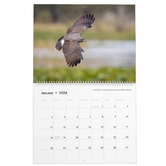Vogelfotografie von Tom Spine, Kalender 2020 (Jan 2026)