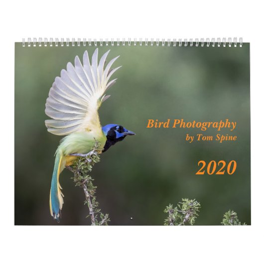 Vogelfotografie von Tom Spine, Kalender 2020 (Titelbild)