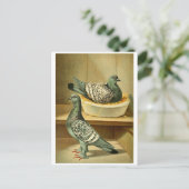 Vogelfotos Postkarten online Postkarten (Stehend Vorderseite)