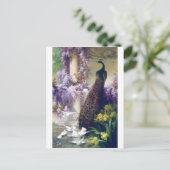 Vogelgeflügel aus Pfauen und weißen Tauben Postkarte (Stehend Vorderseite)