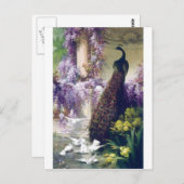 Vogelgeflügel aus Pfauen und weißen Tauben Postkarte (Vorne/Hinten)