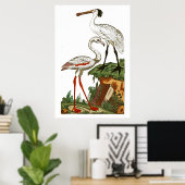 Vogelgeschichte 1795 Plate 33 Poster (Heimbüro)