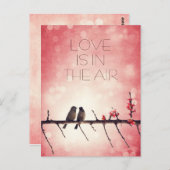 Vogelgeschichte Postkarte (Vorne/Hinten)