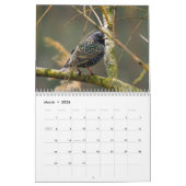"Vogelgeschichten" Vogelkalender des Fotos Kalender (Mär 2026)