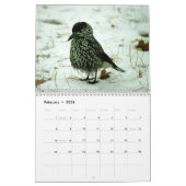 "Vogelgeschichten" Vogelkalender des Fotos Kalender (Feb 2026)