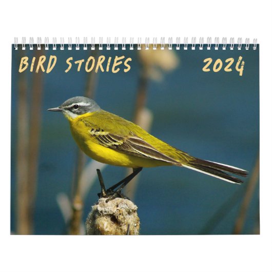 "Vogelgeschichten" Vogelkalender des Fotos Kalender (Titelbild)