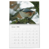 "Vogelgeschichten" Vogelkalender des Fotos Kalender (Jan 2026)