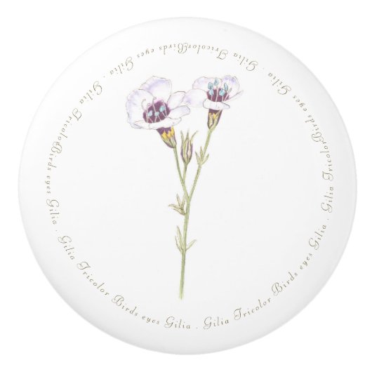 Vogelgesicht-Gilia-Aquarell Keramikknauf (Vorderseite)