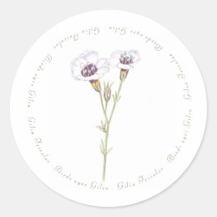 Vogelgesicht-Gilia-Aquarell Runder Aufkleber