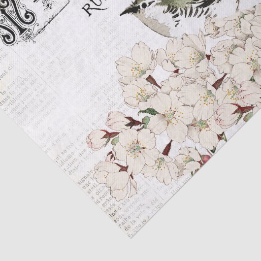 Vogelgezwirnpapier Seidenpapier (Ausschnitt)