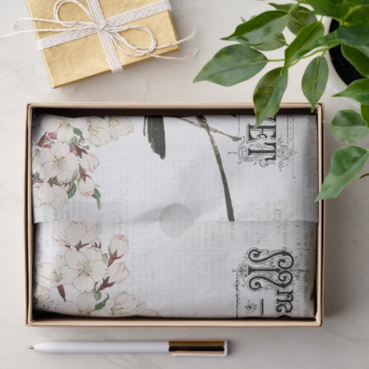 Vogelgezwirnpapier Seidenpapier (Geschenk)