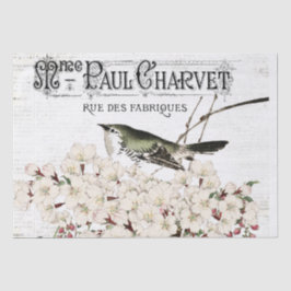 Vogelgezwirnpapier Seidenpapier