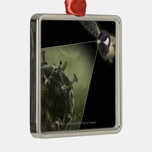 Vogelgrippe, die aus Vogel herauskommt Silbernes Ornament (Rechts)