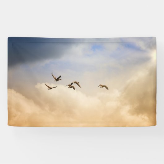 Vogelgrippe im Flug Banner (Horizontal)