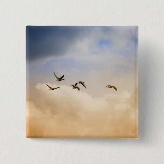 Vogelgrippe im Flug Button (Vorderseite)