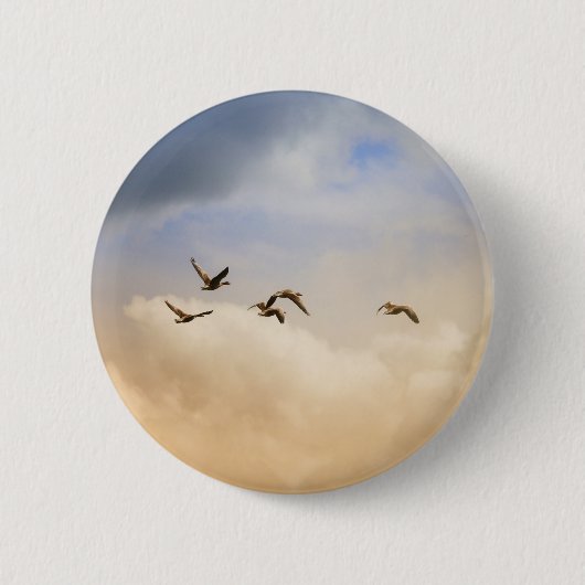 Vogelgrippe im Flug Button (Vorderseite)