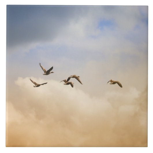 Vogelgrippe im Flug Fliese (Vorderseite)