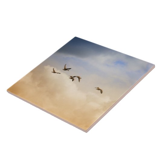 Vogelgrippe im Flug Fliese (Seite)