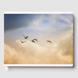 Vogelgrippe im Flug Gästebuch