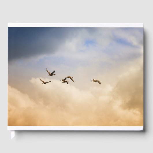 Vogelgrippe im Flug Gästebuch (Vorderseite)