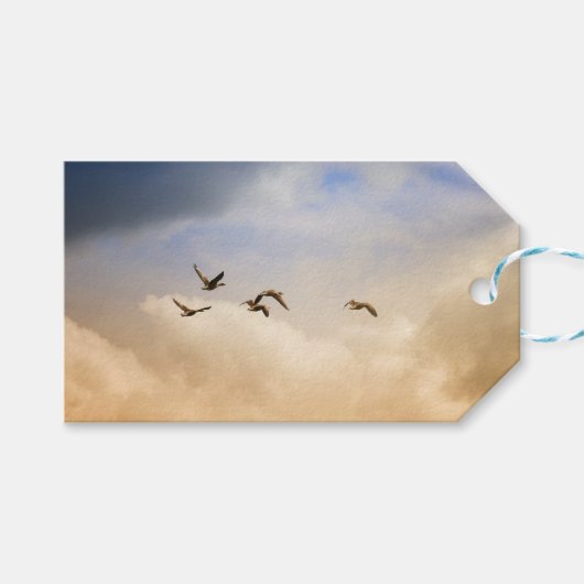 Vogelgrippe im Flug Geschenkanhänger (Vorderseite (Horizontal))