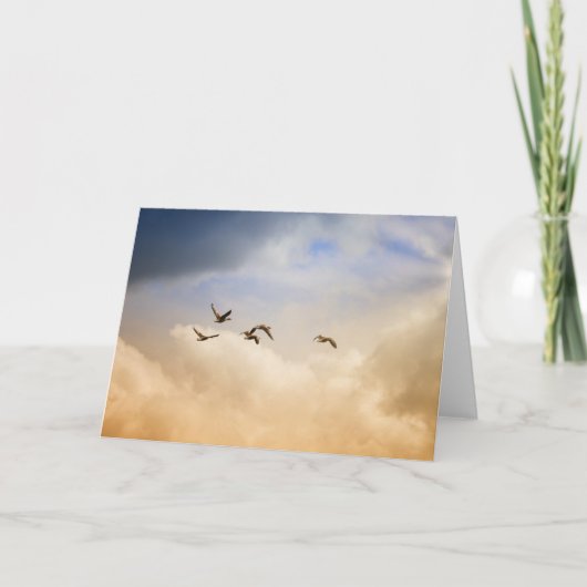 Vogelgrippe im Flug Karte (Vorderseite)