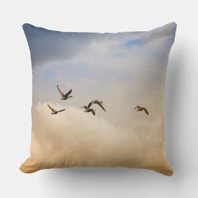 Vogelgrippe im Flug Kissen (Vorderseite)