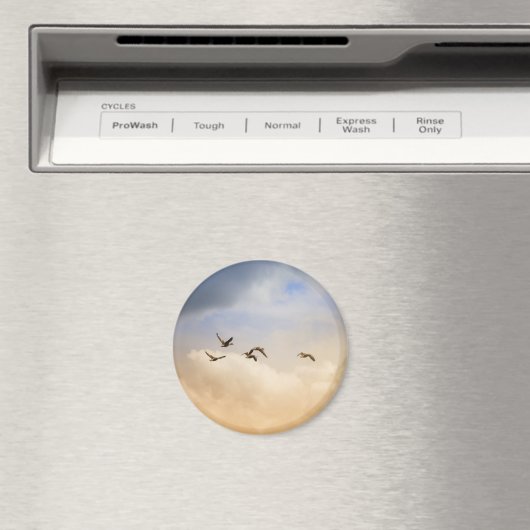 Vogelgrippe im Flug Magnet (In Situ (Geschirrspüler))