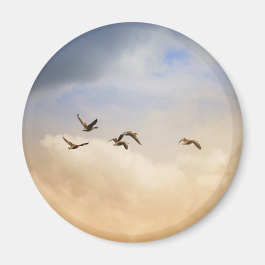 Vogelgrippe im Flug Magnet (Vorne)