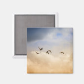 Vogelgrippe im Flug Magnet (Vorderseite/Rückseite)