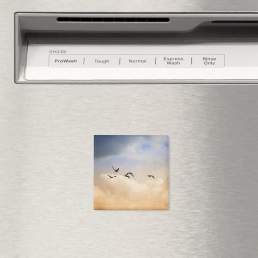 Vogelgrippe im Flug Magnet (In Situ (Geschirrspüler))